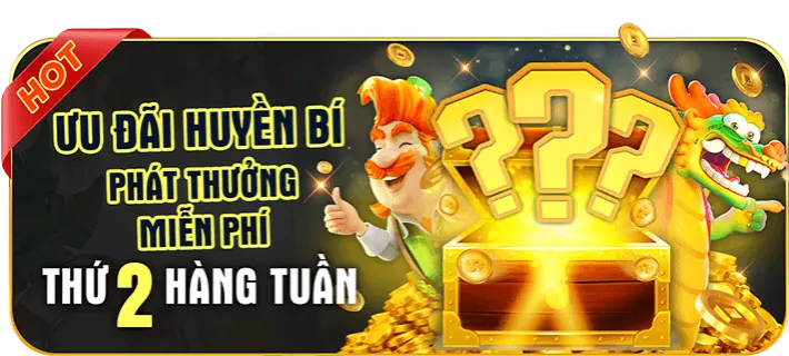 Vị trí IT và Phát triển