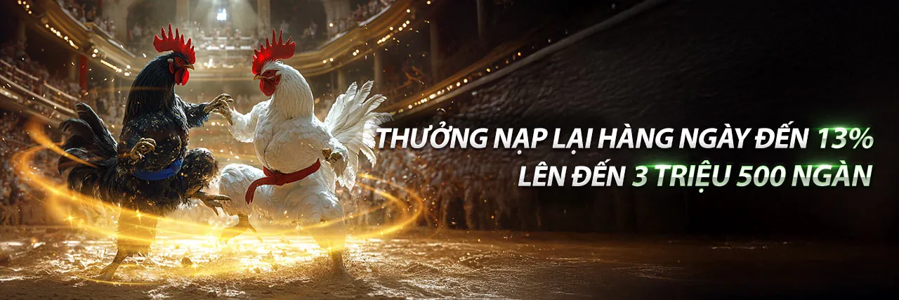 Tin tức 8kbets mới nhất về cá cược trực tuyến
